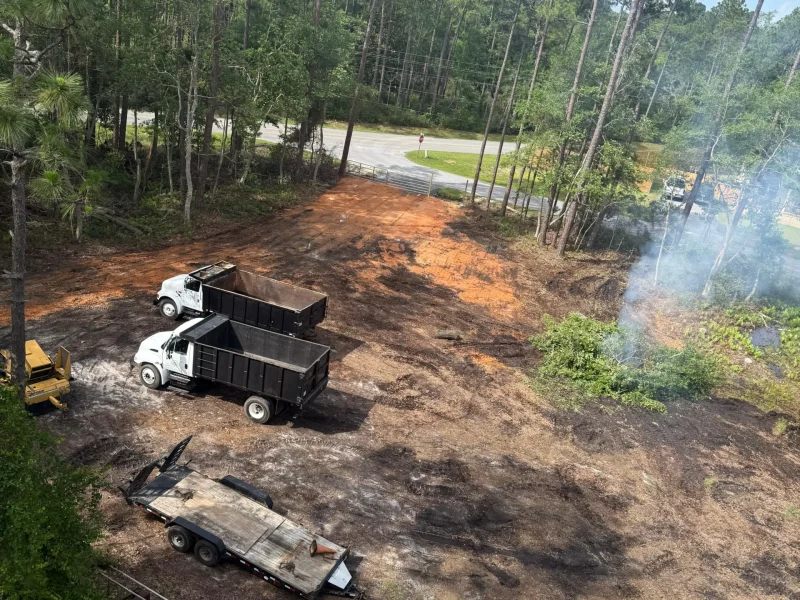 Empty Lot Cleaning 22-6-26 (2)
