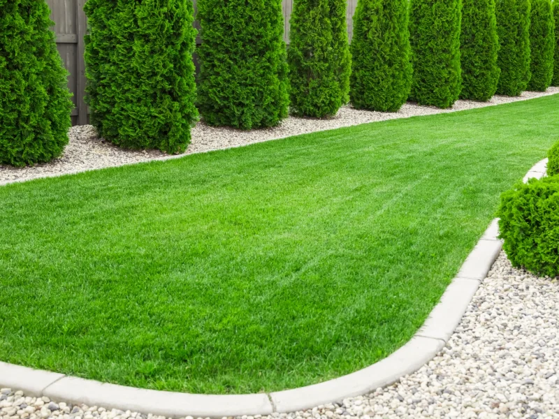 Landscaping 14-5-26