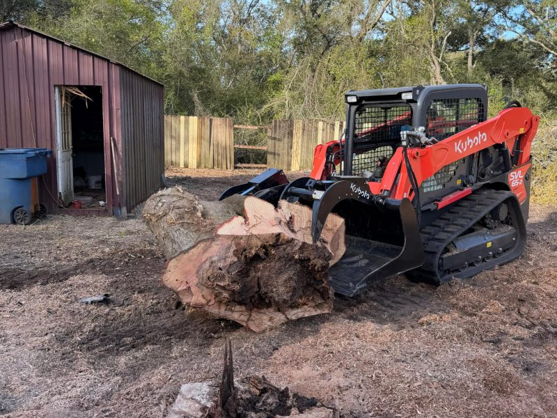 Lot Clearing 3