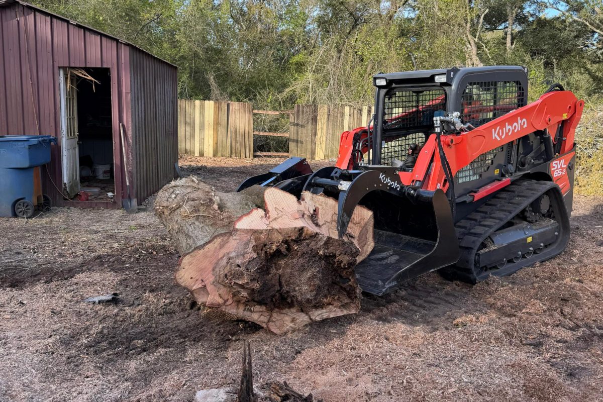 Lot Clearing 3