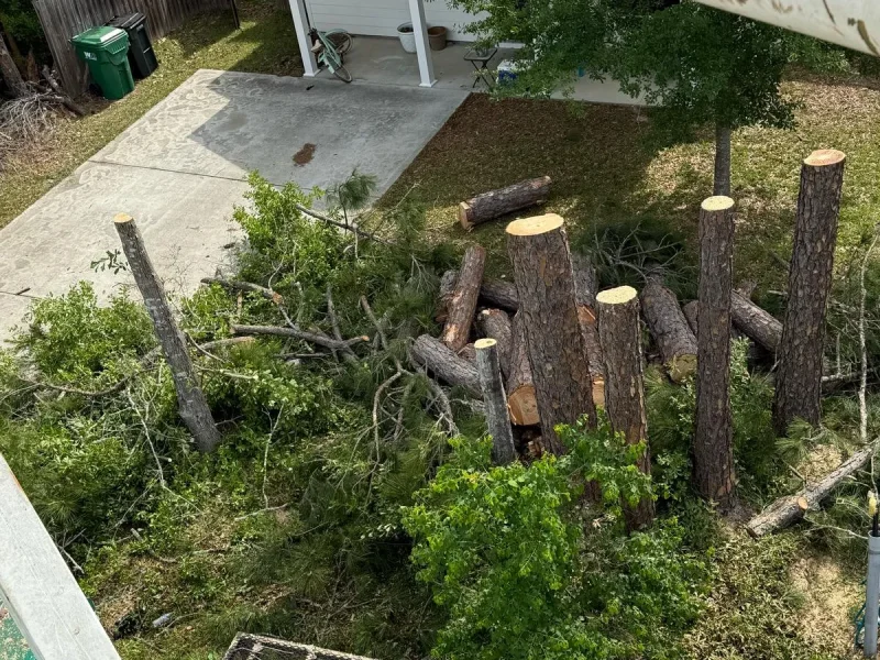 Solution Tree Service LLC. 1