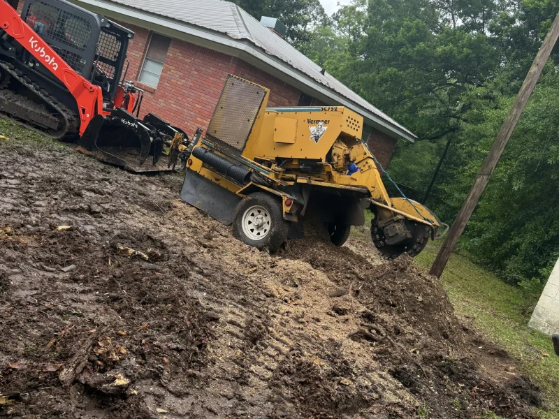 Stump Grinding