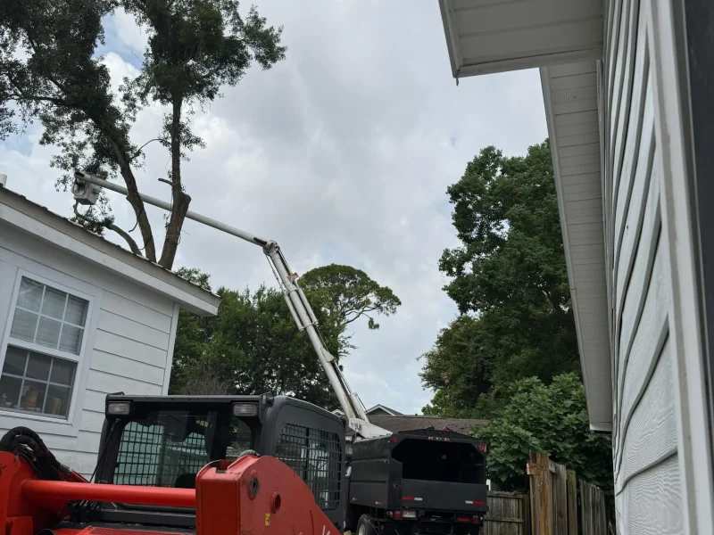 Tree Removal 09