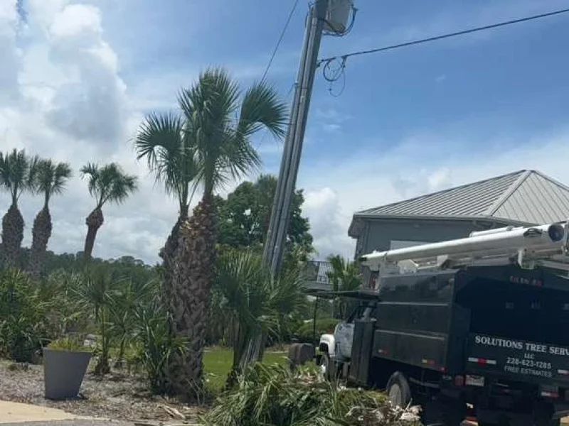 Tree Removal (1)