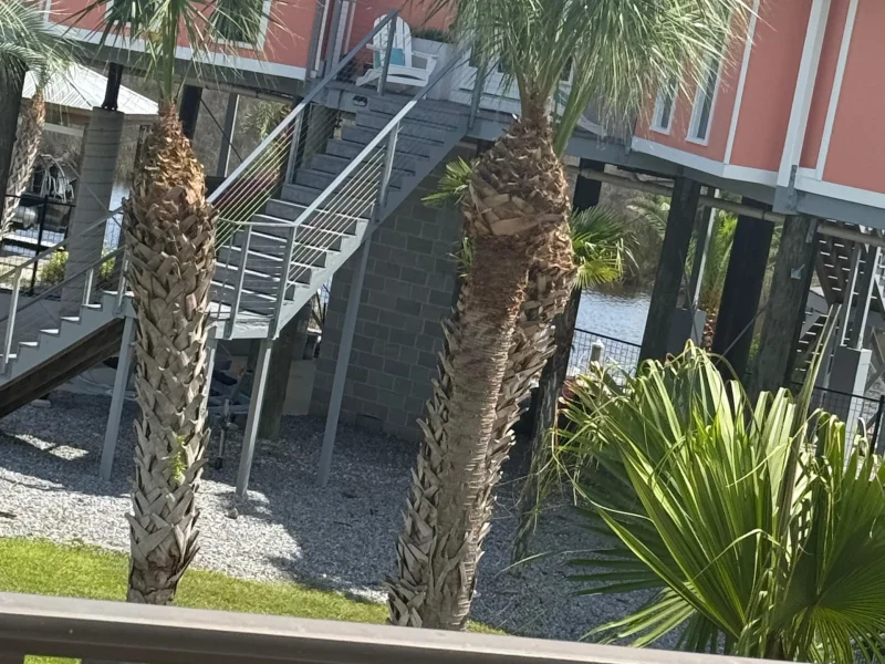 Tree Topping (1)