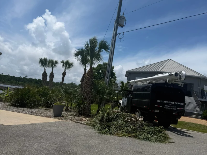Tree Topping 22-6-26 (4)