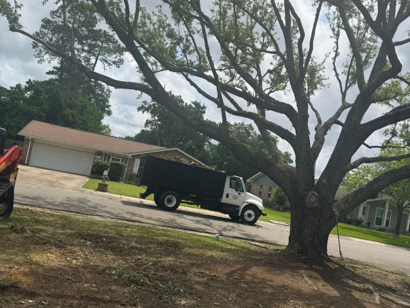 Tree Trimming 22-6-26 (1)